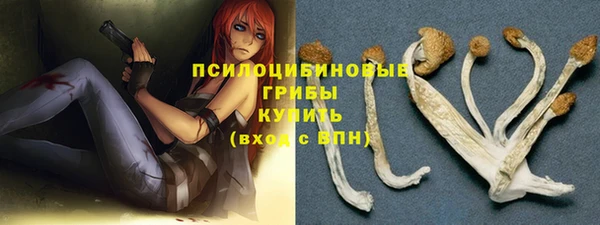 прущие грибы Володарск