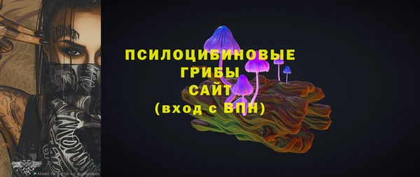 прущие грибы Володарск