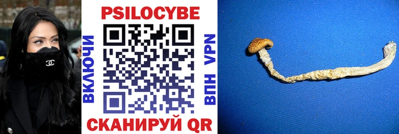 Псилоцибиновые грибы Cubensis  Нижнекамск 